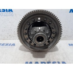 Fiat - Ducato - Front differential