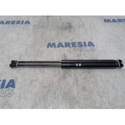 Fiat - Punto - Kit amortisseur gaz hayon