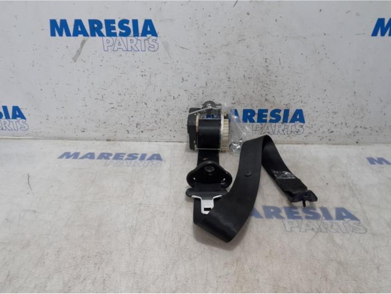 Renault - Twingo - Sicherheitsgurt links hinten