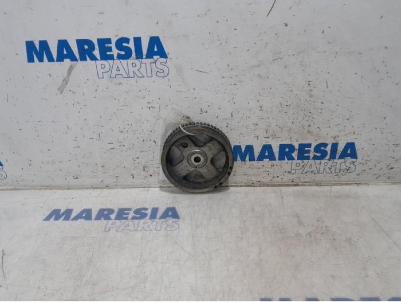 Fiat - Panda - Krukas Poelie