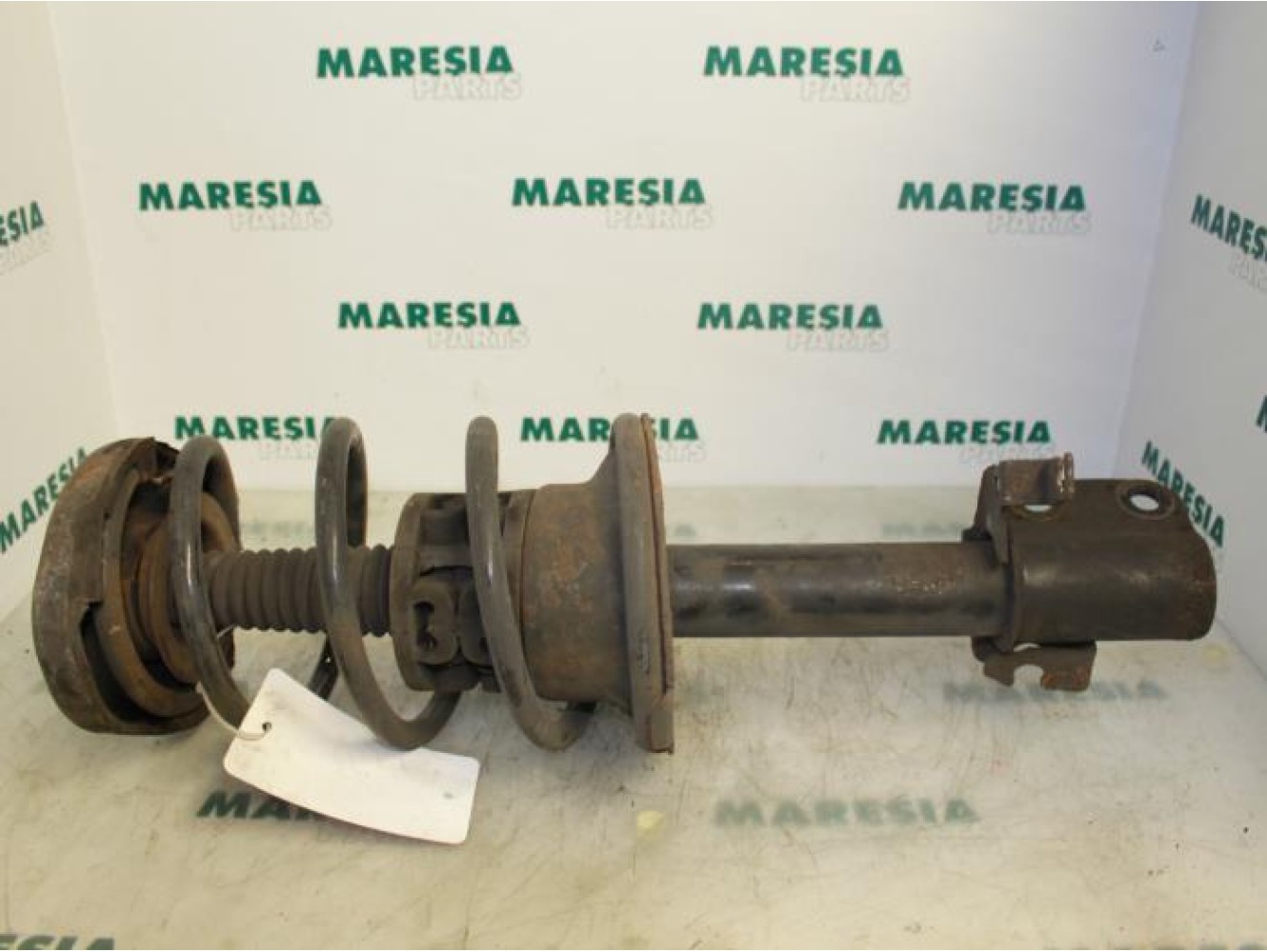 Renault - Megane Scenic - Front shock absorber rod, right
