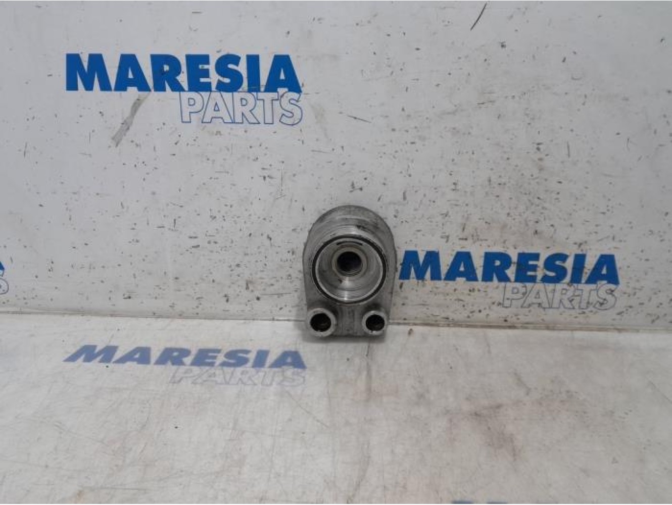 Renault - Kangoo - Oil filter holder