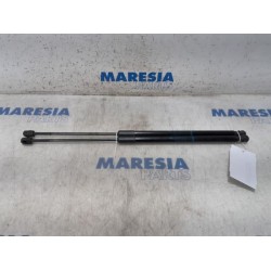 Peugeot - 5008 - Set of gas struts for boot