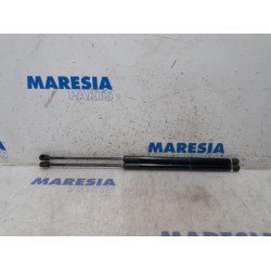 Peugeot - 5008 - Set of gas struts for boot
