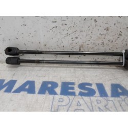 Peugeot - 5008 - Set of gas struts for boot
