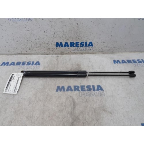 Peugeot - 5008 - Set of gas struts for boot