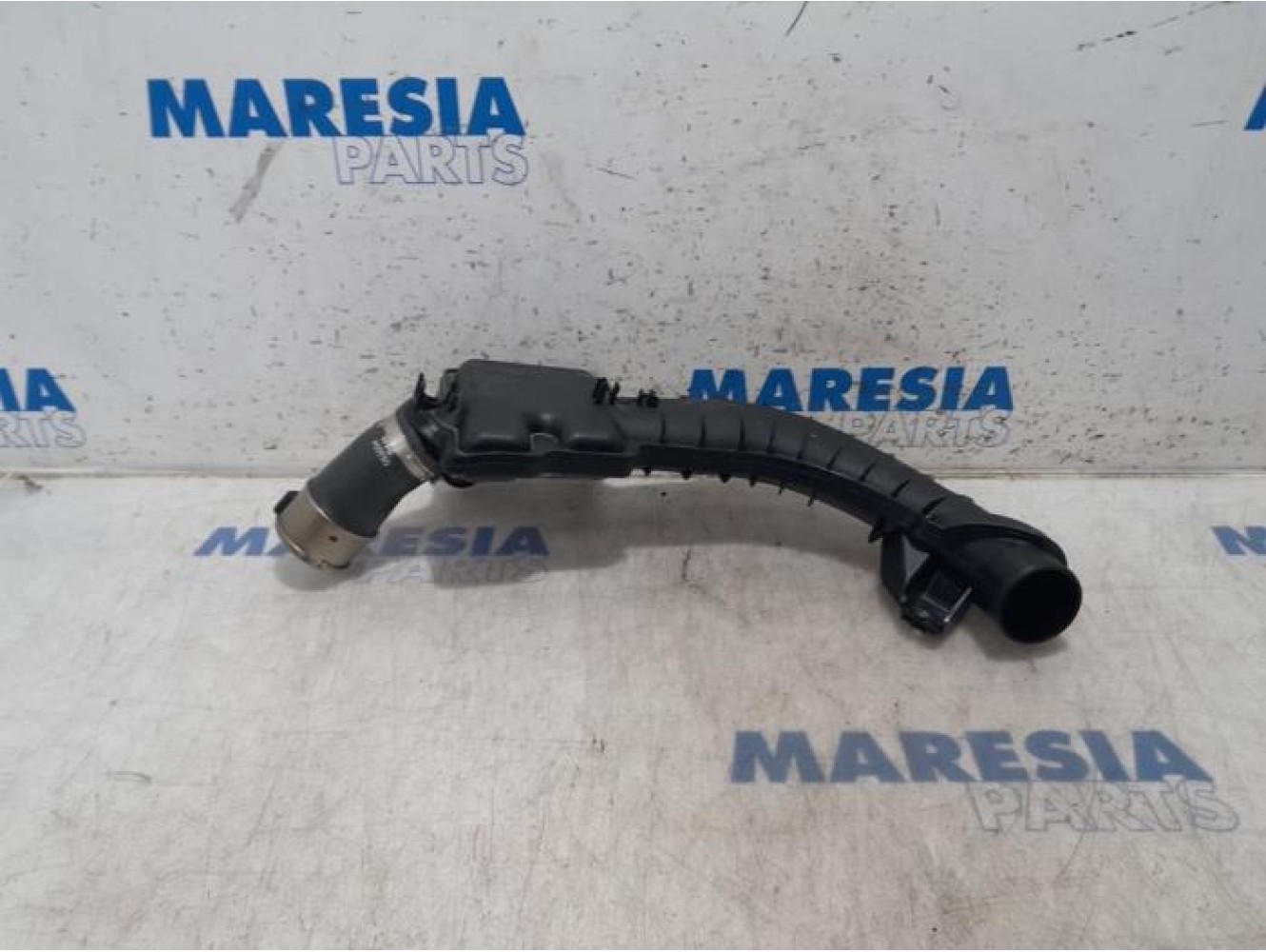 Renault - Scenic - Turbo hose
