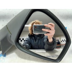 Renault - Scenic - Wing mirror, right