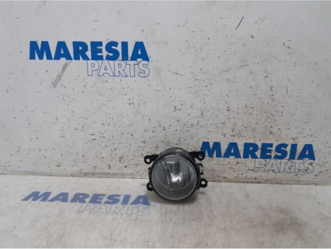 Renault - Scenic - Fog light, front right