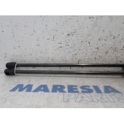 Citroen - C4 Grand Picasso - Set of tailgate gas struts