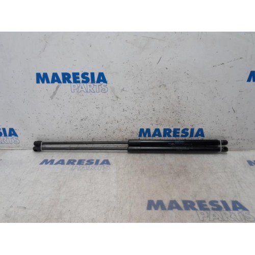 Citroen - C4 Grand Picasso - Set of tailgate gas struts