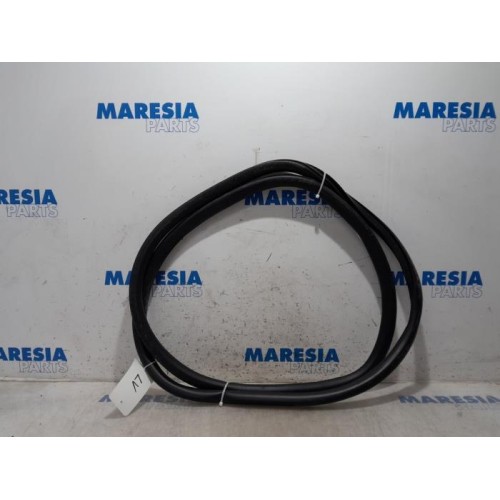Citroen - C4 Grand Picasso - Front door seal 4-door, left