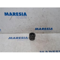 Fiat - Doblo - Piston