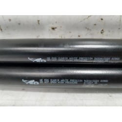 Peugeot - 207 - Set of tailgate gas struts