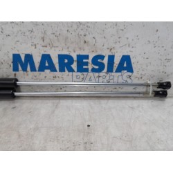 Peugeot - 207 - Set of tailgate gas struts