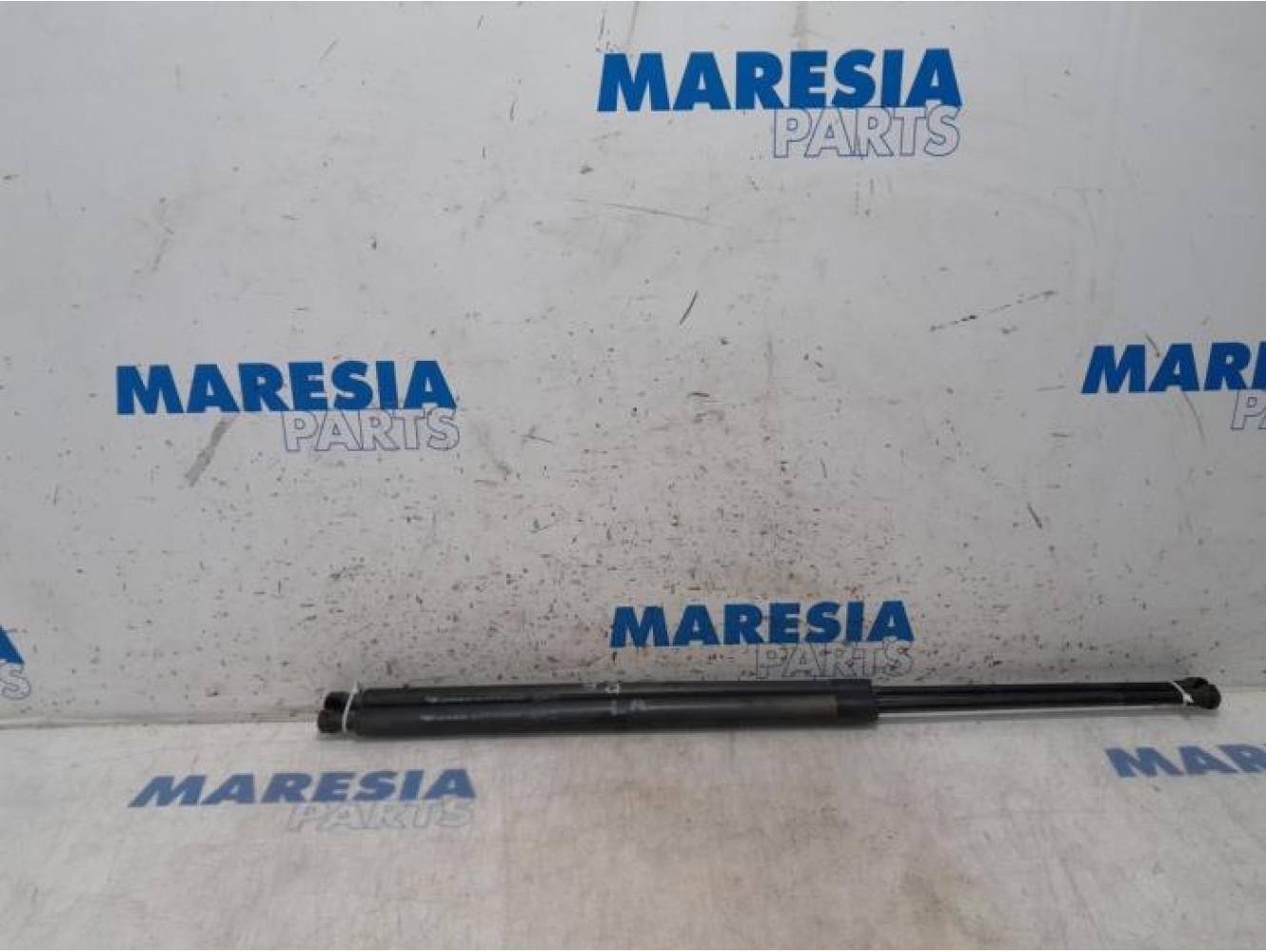 Renault - Grand Scenic - Set of tailgate gas struts