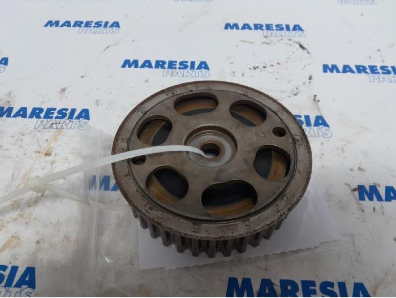Renault - Megane - Camshaft sprocket