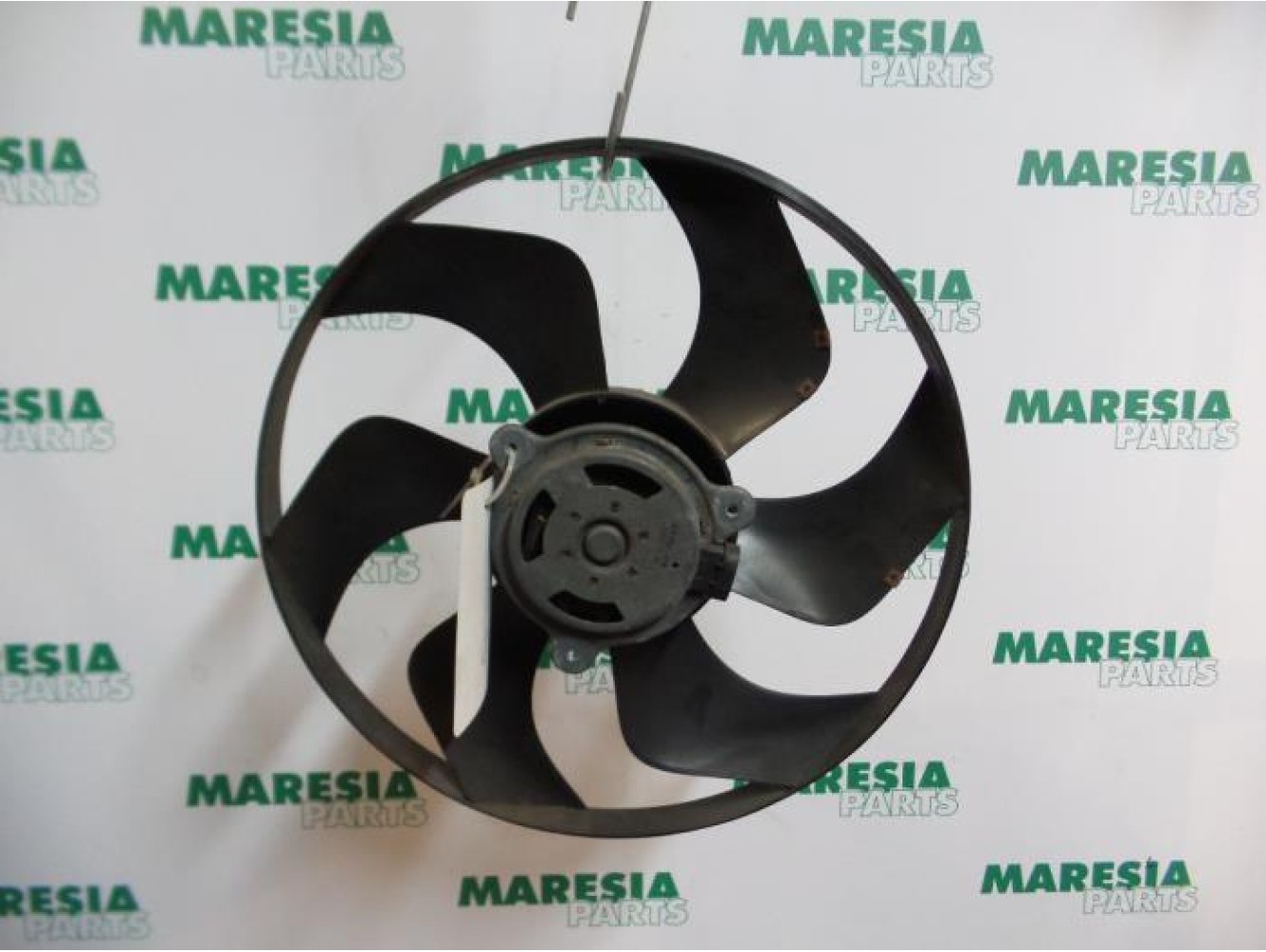Renault - Laguna - Fan motor