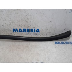 Citroen - DS4 - Frontscreen frame