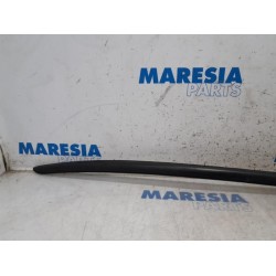 Citroen - DS4 - Frontscreen frame