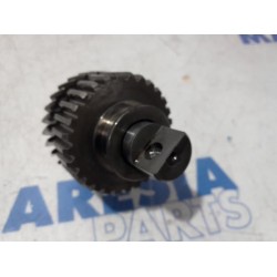 Renault - Megane - Constant-pinion shaft