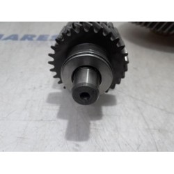 Renault - Megane - Constant-pinion shaft