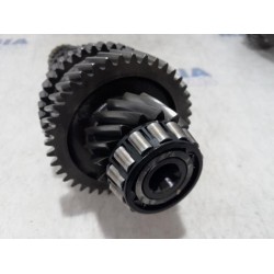 Renault - Megane - Constant-pinion shaft