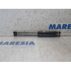 Opel - Vivaro - Set of bonnet gas struts