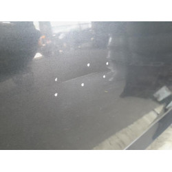 Renault - Scenic - Tür 4-türig links vorne