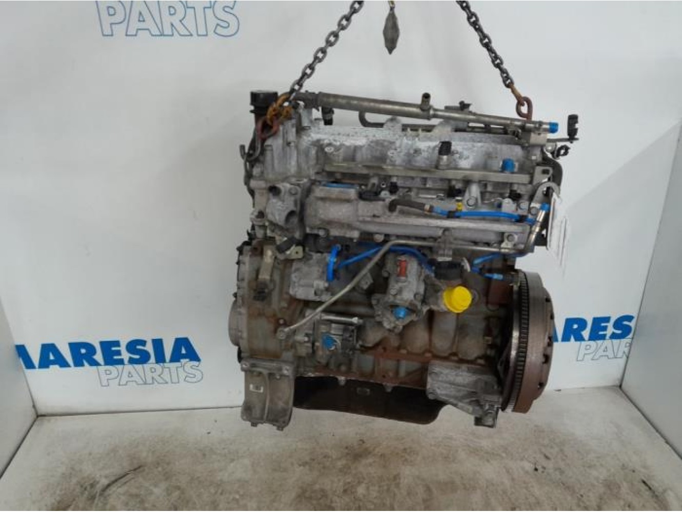 Fiat - Ducato - Motor