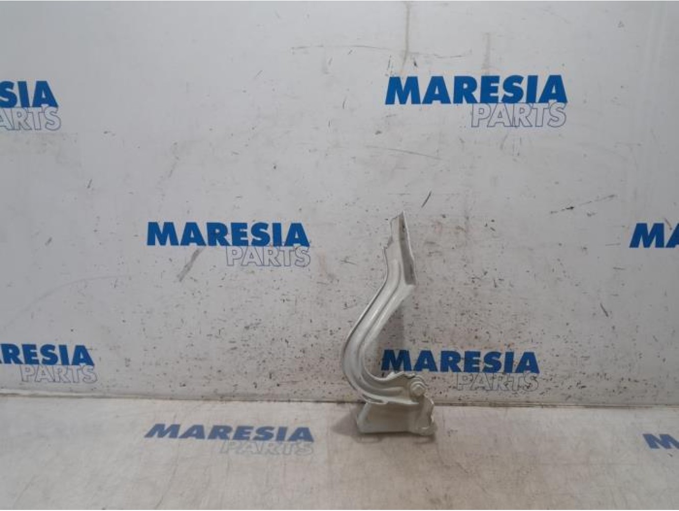 Fiat - Ducato - Bonnet Hinge