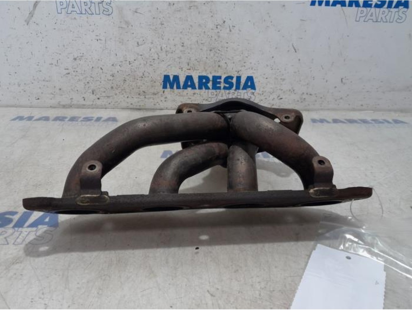 Renault - Scenic - Exhaust manifold