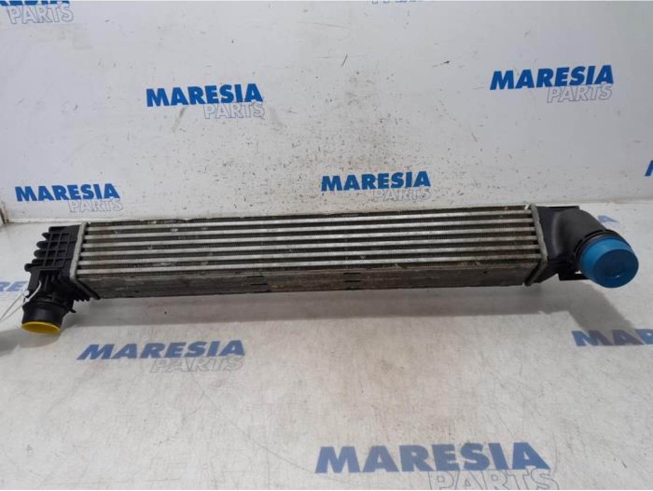 Renault - Scenic - Intercooler