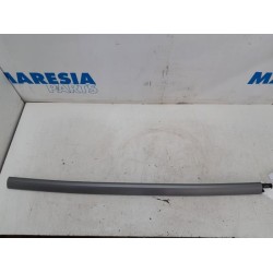 Citroen - C4 Grand Picasso - Dachleiste links