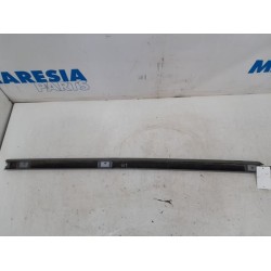 Citroen - C4 Grand Picasso - Dachleiste links