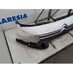Citroen - Berlingo - Grill