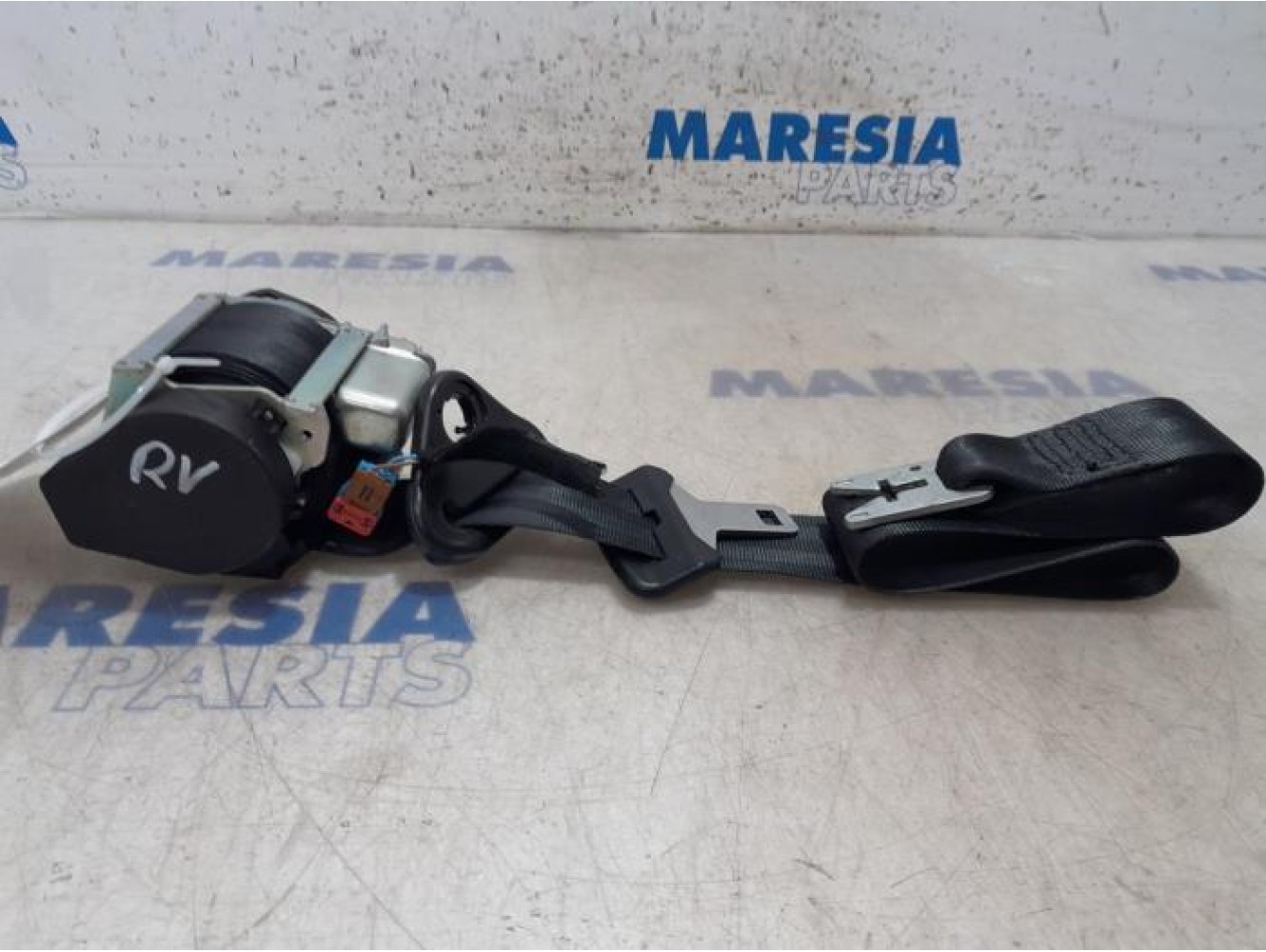 Renault - Scenic - Front seatbelt, right