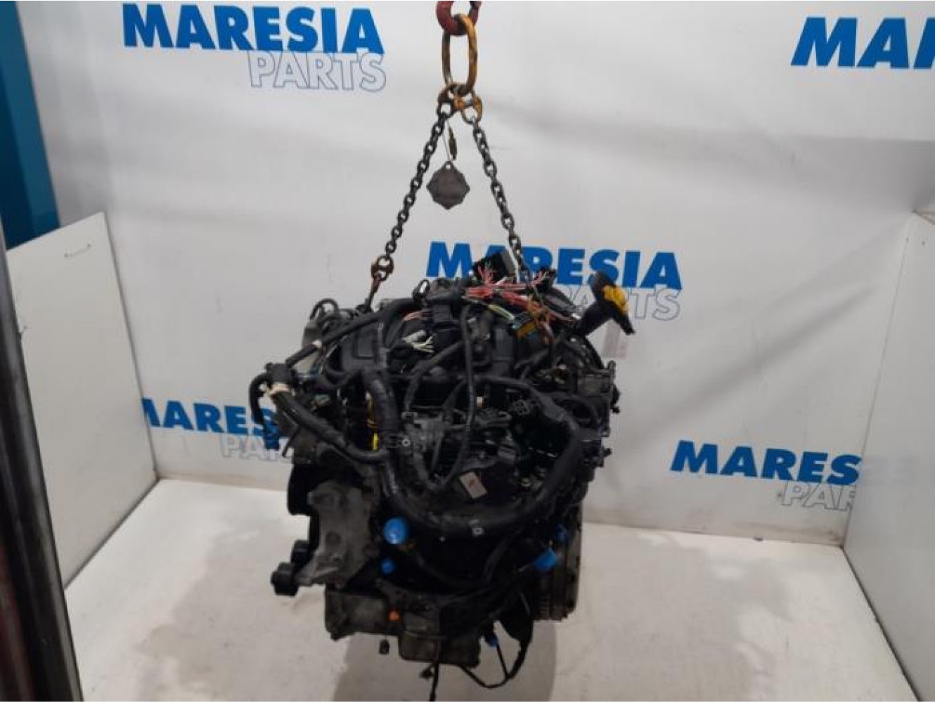 Opel - Vivaro - Motor
