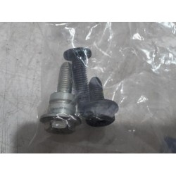 Renault - Scenic - Sicherheitsgurt rechts hinten