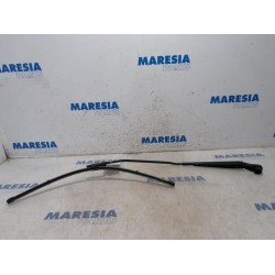 Renault - Scenic - Front wiper arm
