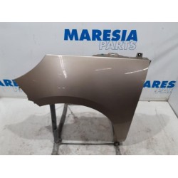 Renault - Scenic - Scherm links-voor