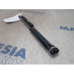 Opel - Vivaro - Set of bonnet gas struts