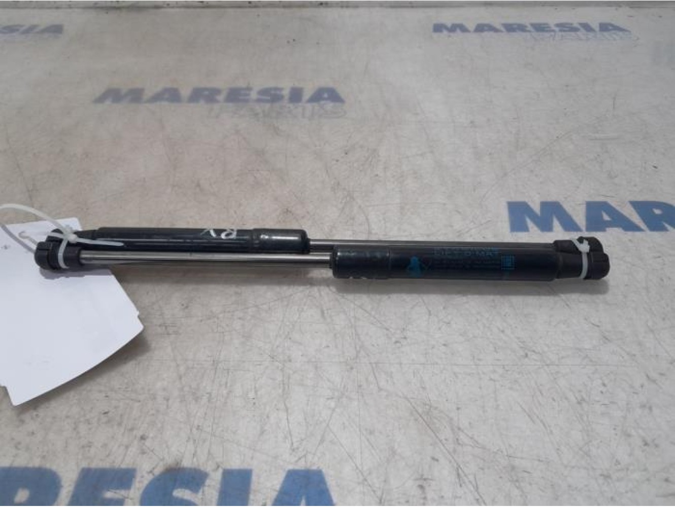 Opel - Vivaro - Set of bonnet gas struts