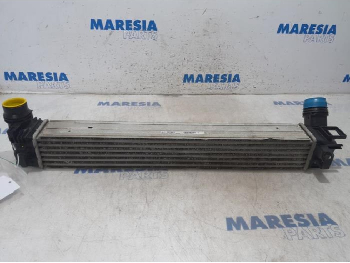 Renault - Scenic - Intercooler