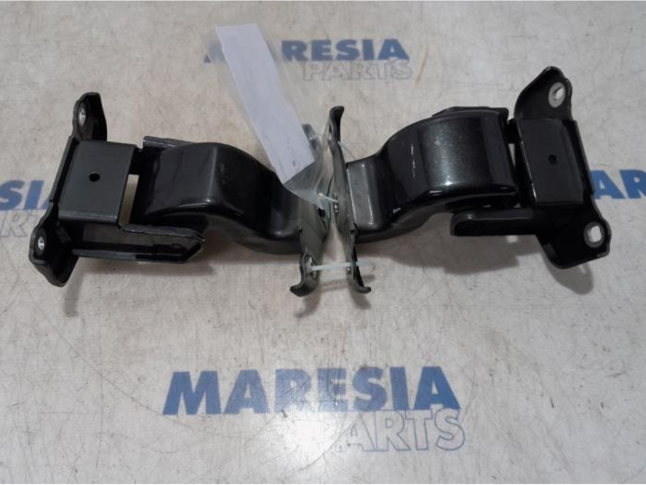 Renault - Trafic - Set of hinges