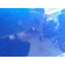 Citroen - C4 Picasso - Front door 4-door, right