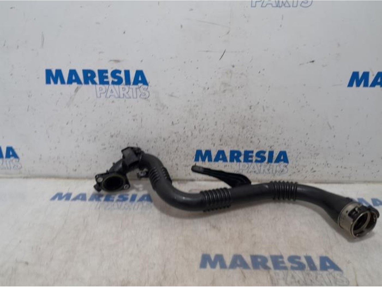 Renault - Clio - Tube intercooler