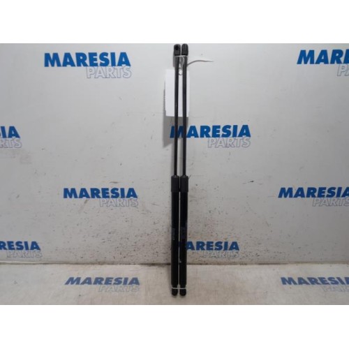 Citroen - C4 Picasso - Set of tailgate gas struts