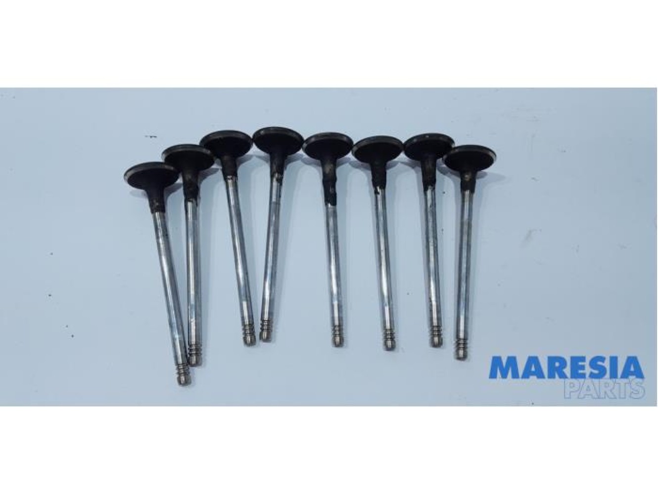 Citroen - Jumpy - Induction valve
