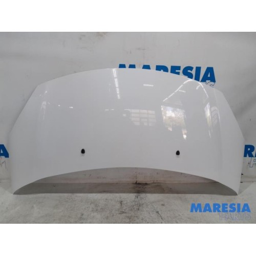 Citroen - DS3 - Bonnet